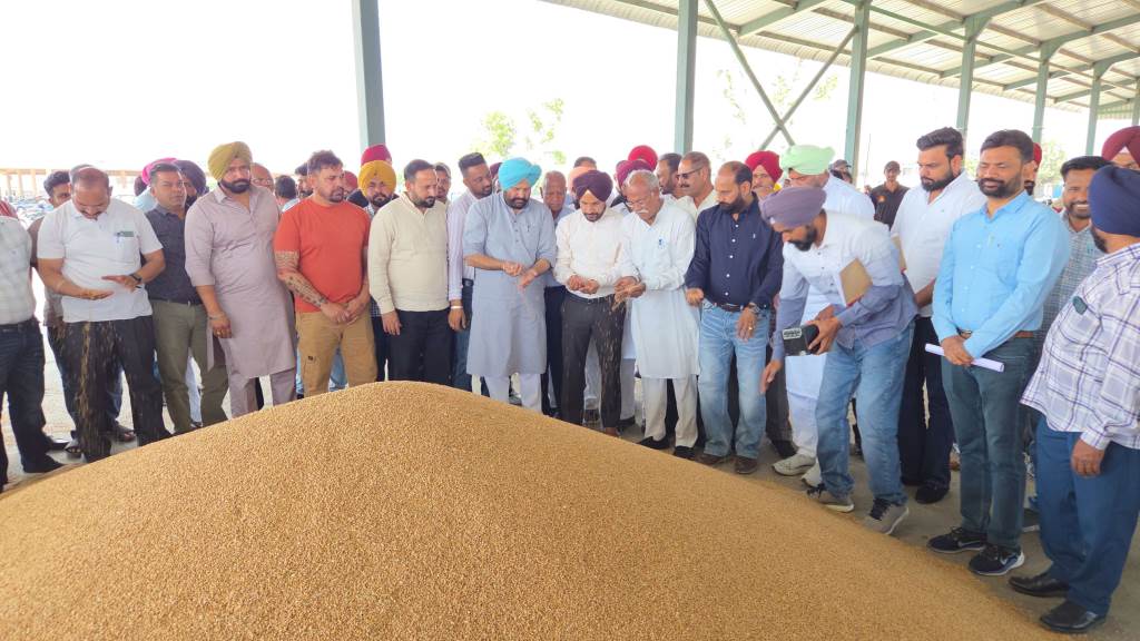 OSD Sukhveer Singh KickStarts Wheat Procurement at Grain Market Dhuri